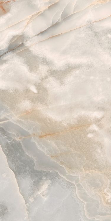Reves Noisette Matte 24 x 48